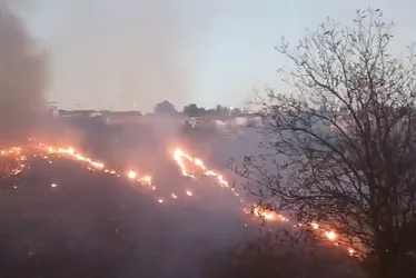 
			
				Incêndio em vegetação assusta moradores do Conjunto Aprígio Vilela; vídeos!
			
			