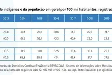 
			
				Indígenas, mulheres, negros e jovens morreram menos no governo Bolsonaro
			
			
