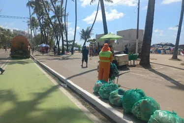 
			
				Mutirão recolhe grande quantidade de lixo horas após festa da virada do ano na orla
			
			