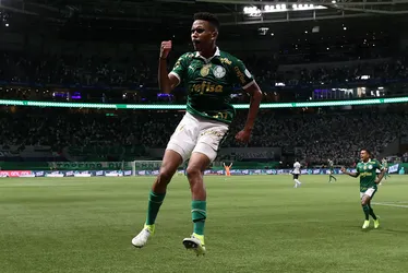 
			
				Palmeiras ultrapassa Botafogo e chega a mais de 60% de chance de título
			
			