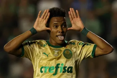 
			
				Palmeiras ultrapassa chances de título do Botafogo no Brasileirão
			
			