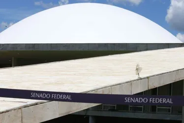 
			
				Senadores tentam esticar mandato para 10 anos
			
			