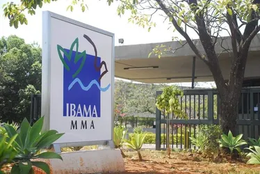 
			
				Farra: turma do Ibama fez 10 mil viagens em 2024
			
			