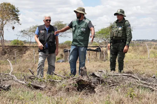 
				FPI embarga áreas desmatadas que equivalem a 419 campos de futebol
			
			