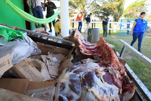 
				FPI flagra abate clandestino e recolhe carnes em condições impróprias para consumo
			
			