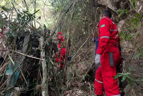 
				Ônibus perde o controle e cai em mata na Serra da Barriga; veja imagens
			
			