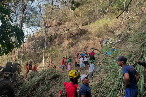 
				Ônibus perde o controle e cai em mata na Serra da Barriga; veja imagens
			
			