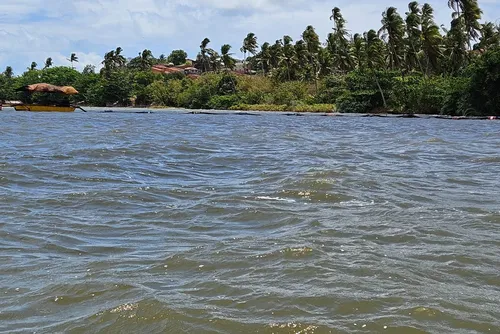 
				Vídeo: peixes são encontrados mortos na Lagoa Mundaú
			
			