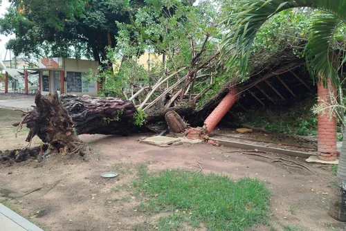
				Transtornos, alertas e previsão de mais chuva: temporais deixam rastro de destruição
			
			