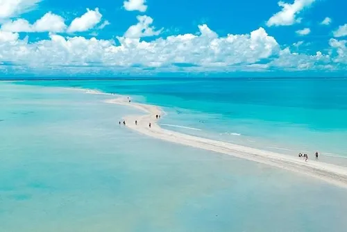 
				Saiba para onde estava indo o catamarã que afundou com passageiros em Maragogi
			
			