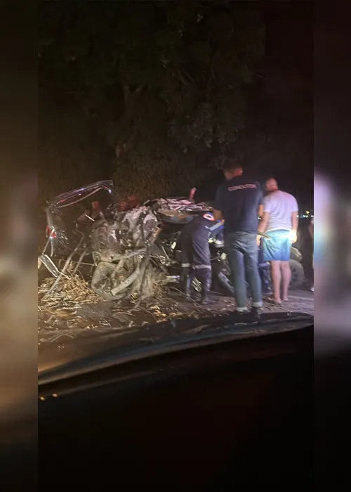 
				Colisão de carro contra árvore deixa um morto na BR-316; veículo ficou destruído
			
			