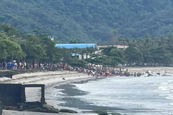 Avião cai em praia de Ubatuba, no litoral do sudeste brasileiro