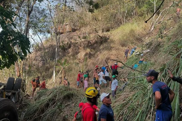 

					Ônibus perde o controle e cai em mata na Serra da Barriga; veja imagens

				