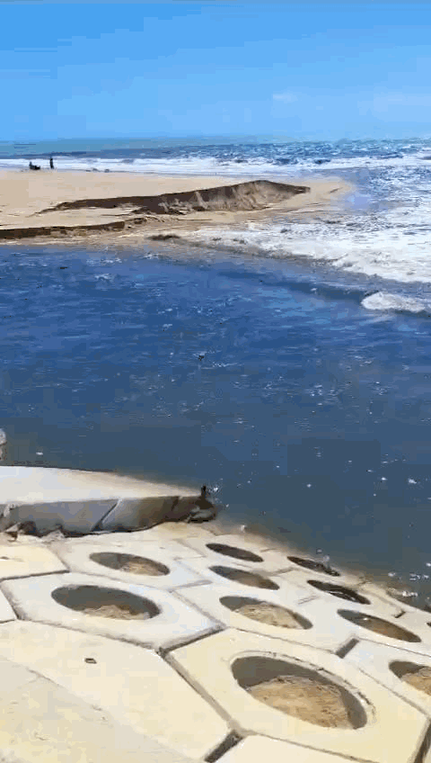 VÍDEO: IMA investiga aparecimento de mancha escura no Rio Jacarecica