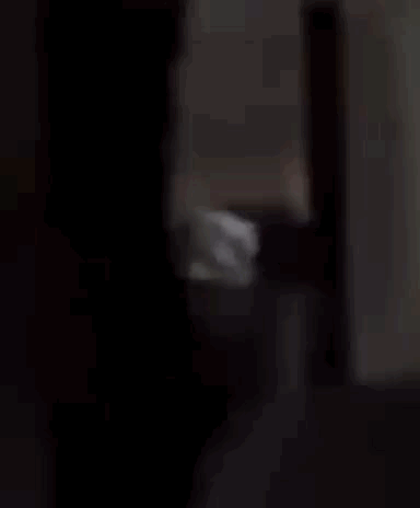 VÍDEO: casal é flagrado fazendo sexo no Marco dos Corais; polícia investiga