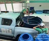 Após fortes chuvas, população de cágados é vista às margens do Salgadinho imagem