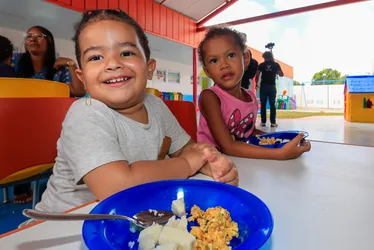 
			
				AL é o estado com menor índice de desnutrição infantil do Nordeste e o 9º do Brasil
			
			