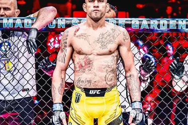 
				Alex Poatan encara Ankalaev; conheça outros brasileiros no card do UFC 313
			
			