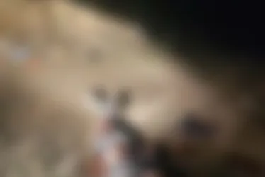 
			
				Homem morre atropelado por caminhão enquanto dormia embaixo do veículo em Delmiro Gouveia
			
			
