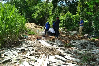 
			
				Jovem encontrado morto no Benedito Bentes foi baleado com três tiros na cabeça, aponta perícia
			
			