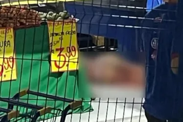
			
				Morta a facadas, 'Branca de Neve' tinha passagem por tráfico de drogas e corrupção de menores
			
			