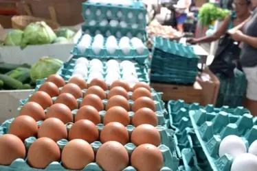 
			
				Preço do ovo sobe quase 20% em março, segundo IPCA-15
			
			