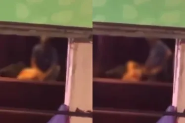 
			
				Saiba quem é o homem flagrado fazendo sexo em camarote na Sapucaí
			
			