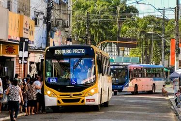 
			
				Sistema BRT e faixa verde: veja o plano de reestruturação de trânsito e transporte do Centro de Maceió
			
			