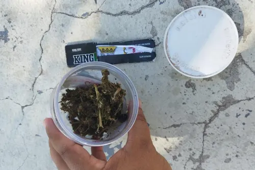 
				Foragido da Justiça é preso após ser flagrado usando drogas ao lado de criança na praia de Ponta Verde
			
			