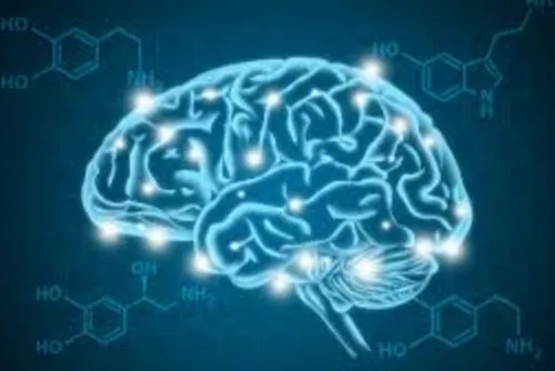 
				Uso indiscriminado de estimulantes: tratamento psicológico como alternativa saudável
			
			
