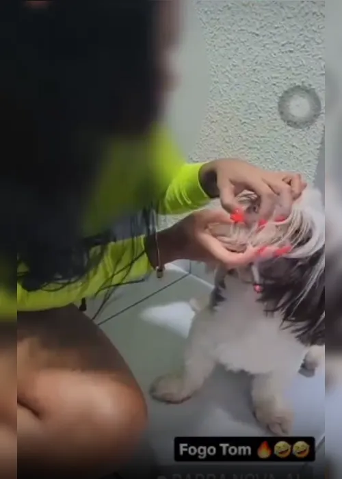
			
				Polícia identifica e tenta localizar mulher que soprou fumaça de drogas em cachorro
			
			