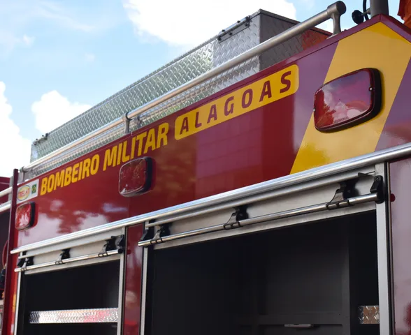 Corpo de Bombeiros é acionado após árvore cair sobre casa no Benedito Bentes