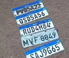 Saiba o que fazer se perder a placa do veículo durante chuvas em Maceió imagem