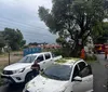 Vídeo: árvore cai sobre carro estacionado na Jatiúca após chuvas imagem