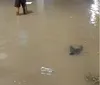 Vídeos: ruas de Maceió ficam alagadas com fortes chuvas neste sábado; Defesa Civil emite alerta imagem