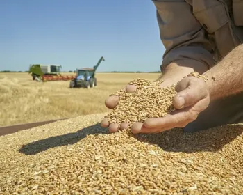 Apenas um país é autossuficiente em comida no mundo; saiba qual