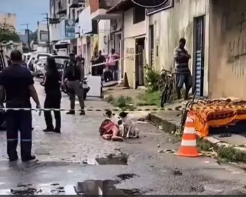 Cachorro fica ao lado de tutor assassinado e companheirismo chama a atenção