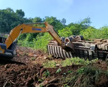 Caminhoneiro e 18 bois morrem em queda de caminhão