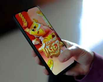 "Jogo do Tigrinho": veja como agia suspeito de desviar R$ 850 mil que perdeu tudo em apostas
