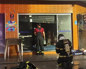 Mais de 10 gatos foram resgatados com vida de incêndio em loja na Jatiúca