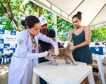 Saúde identifica casos de raiva em morcegos em três bairros de Maceió; entenda!