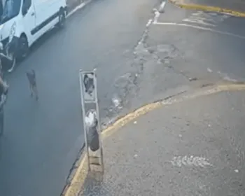 Vídeo: cão é atropelado e ferido por homem que empinava moto