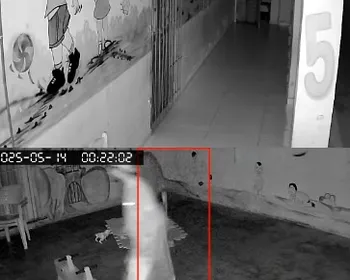 Vídeo: criminoso invade escola e furta TV e caixa de som em Arapiraca