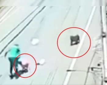 Vídeo: gari foge para comércio ao ser atacado por pit-bulls