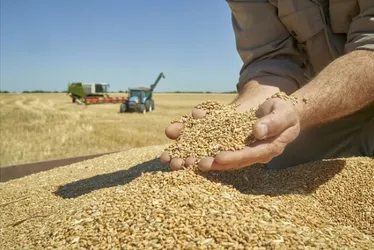 
			
				Apenas um país é autossuficiente em comida no mundo; saiba qual
			
			