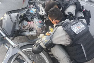 
			
				BPTran apreende mais de meio quilo de droga em Maceió e Rio Largo
			
			