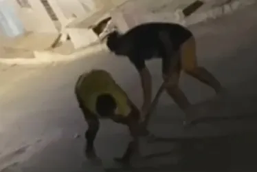 
			
				Briga de foice entre irmãos foi motivada por vingança, aponta PC
			
			