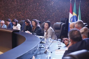 
			
				CNJ aborda litigância abusiva com magistrados e servidores do TJAL
			
			