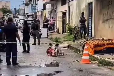 
			
				Cachorro fica ao lado de tutor assassinado e companheirismo chama a atenção
			
			
