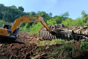 
			
				Caminhoneiro e 18 bois morrem em queda de caminhão
			
			